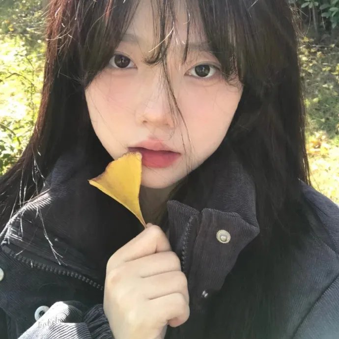 寻找艾米丽